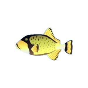 Titan Triggerfish